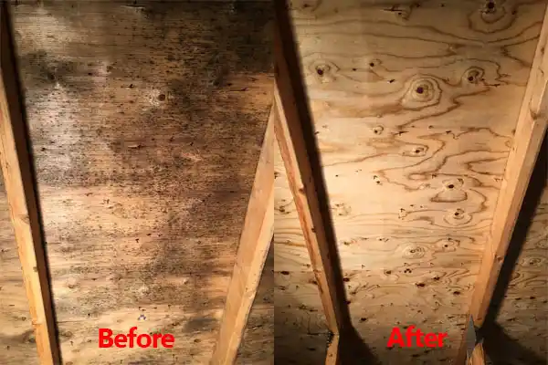 water damage restoration service Onamia